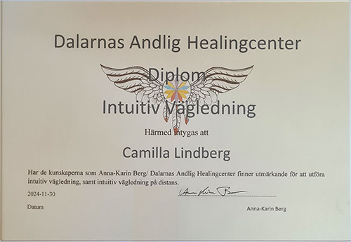 diplomerad intuitiv vägledning, vägledning med kort, andlig vägledning, intuitiv vägledning på distans